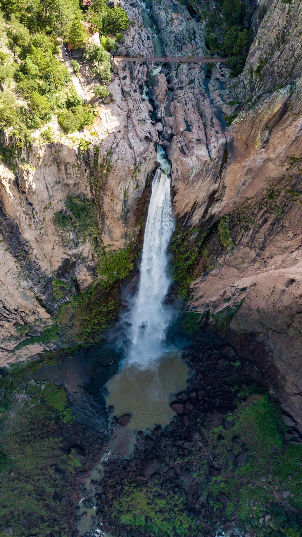 Tour Cascada Basaseachi desde Chihuahua 2