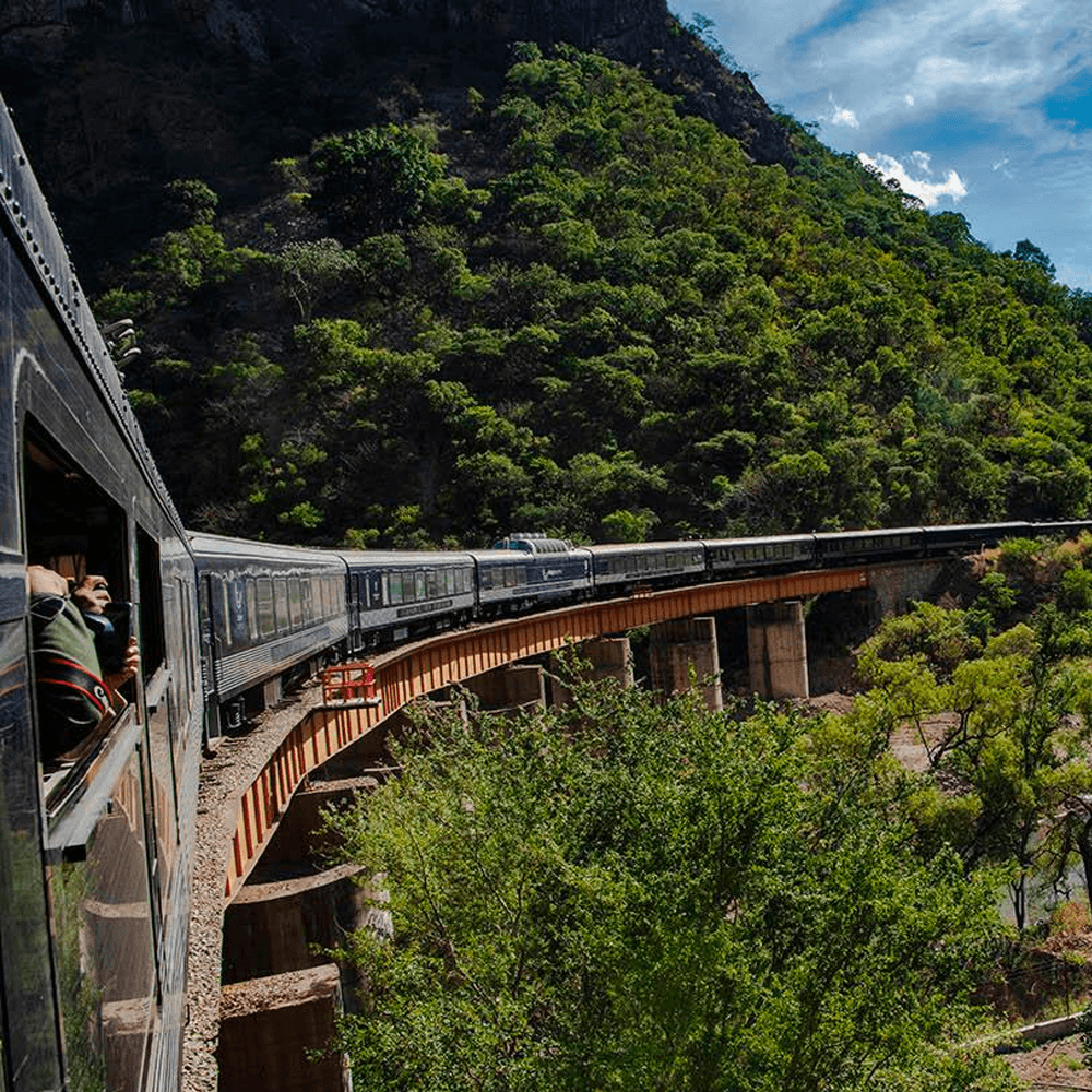 Vista del tren
